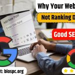 Why Your Website Is Not Ranking Despite