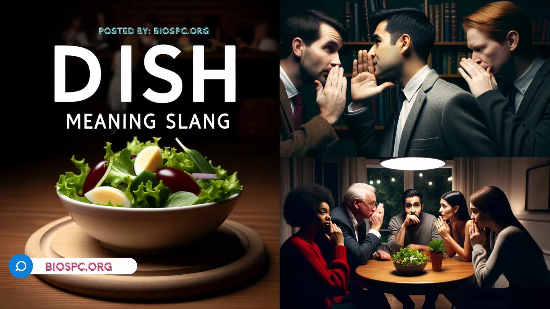 dish slang meaning food